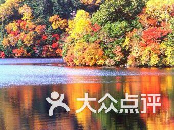 进击的飞机