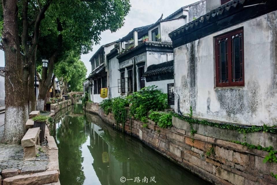 拯救龙精灵